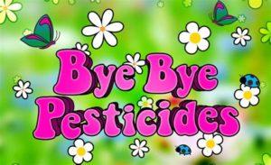 Jardin sans pesticide