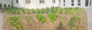 vue panoramique d'un jardin mandala en entreprise